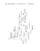 EUKARYOTIC ORGANISMS AND METHODS FOR INCREASING THE AVAILABILITY OF     CYTOSOLIC ACETYL-COA, AND FOR PRODUCING 1,3-BUTANEDIOL diagram and image