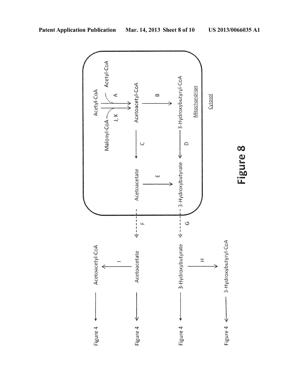 EUKARYOTIC ORGANISMS AND METHODS FOR INCREASING THE AVAILABILITY OF     CYTOSOLIC ACETYL-COA, AND FOR PRODUCING 1,3-BUTANEDIOL - diagram, schematic, and image 09