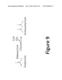 EUKARYOTIC ORGANISMS AND METHODS FOR INCREASING THE AVAILABILITY OF     CYTOSOLIC ACETYL-COA, AND FOR PRODUCING 1,3-BUTANEDIOL diagram and image