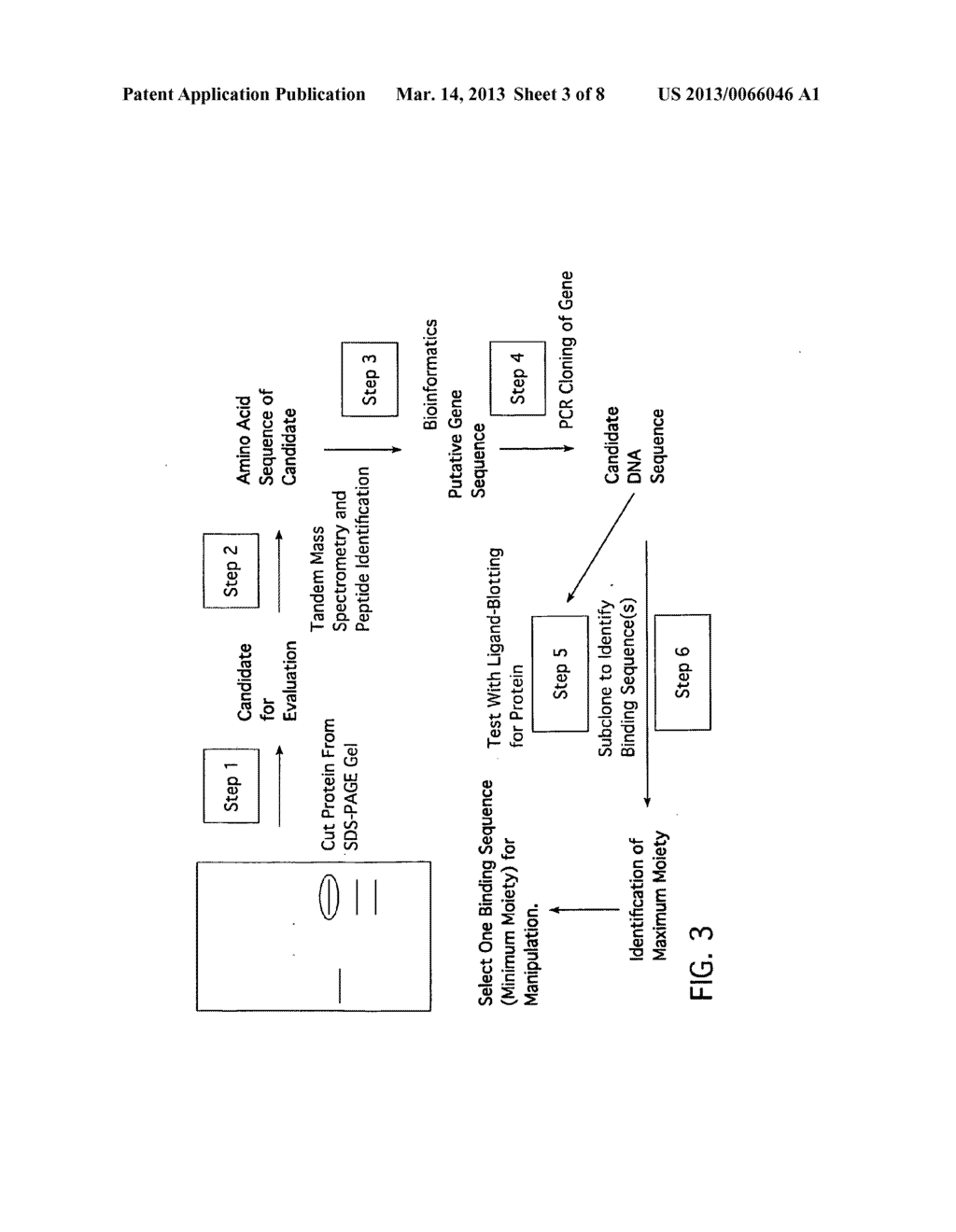 General Method for Generating Ultra-High Affinity Binding Proteins - diagram, schematic, and image 04