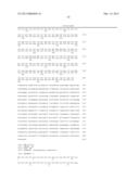 CHLAMYDOMONAS INTRAFLAGELLAR TRANSPORT 88 (IFT-88) diagram and image