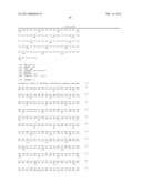 CHLAMYDOMONAS INTRAFLAGELLAR TRANSPORT 88 (IFT-88) diagram and image