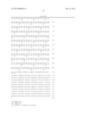 CHLAMYDOMONAS INTRAFLAGELLAR TRANSPORT 88 (IFT-88) diagram and image