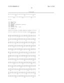 CHLAMYDOMONAS INTRAFLAGELLAR TRANSPORT 88 (IFT-88) diagram and image