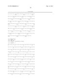 CHLAMYDOMONAS INTRAFLAGELLAR TRANSPORT 88 (IFT-88) diagram and image