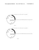 FUSION POLYPEPTIDE AGAINST EB VIRUS-INDUCED TUMOR AND COLICIN IA MUTANT diagram and image