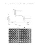 FUSION POLYPEPTIDE AGAINST EB VIRUS-INDUCED TUMOR AND COLICIN IA MUTANT diagram and image