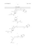 BICYCLO[6.1.0]NON-4-YNE REGENTS FOR CHEMICAL MODIFICATION OF     OLIGONUCLEOTIDES diagram and image