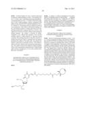 BICYCLO[6.1.0]NON-4-YNE REGENTS FOR CHEMICAL MODIFICATION OF     OLIGONUCLEOTIDES diagram and image