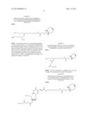 BICYCLO[6.1.0]NON-4-YNE REGENTS FOR CHEMICAL MODIFICATION OF     OLIGONUCLEOTIDES diagram and image