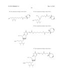 BICYCLO[6.1.0]NON-4-YNE REGENTS FOR CHEMICAL MODIFICATION OF     OLIGONUCLEOTIDES diagram and image