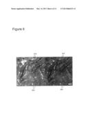 APPARATUS AND METHOD FOR OBTAINING AND PROVIDING IMAGING INFORMATION     ASSOCIATED WITH AT LEAST ONE PORTION OF A SAMPLE, AND EFFECTING SUCH     PORTION(S) diagram and image