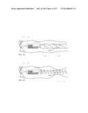 SYSTEMS AND METHODS FOR CLEANING BODY CAVITIES AND FOR ENDOSCOPIC STEERING diagram and image