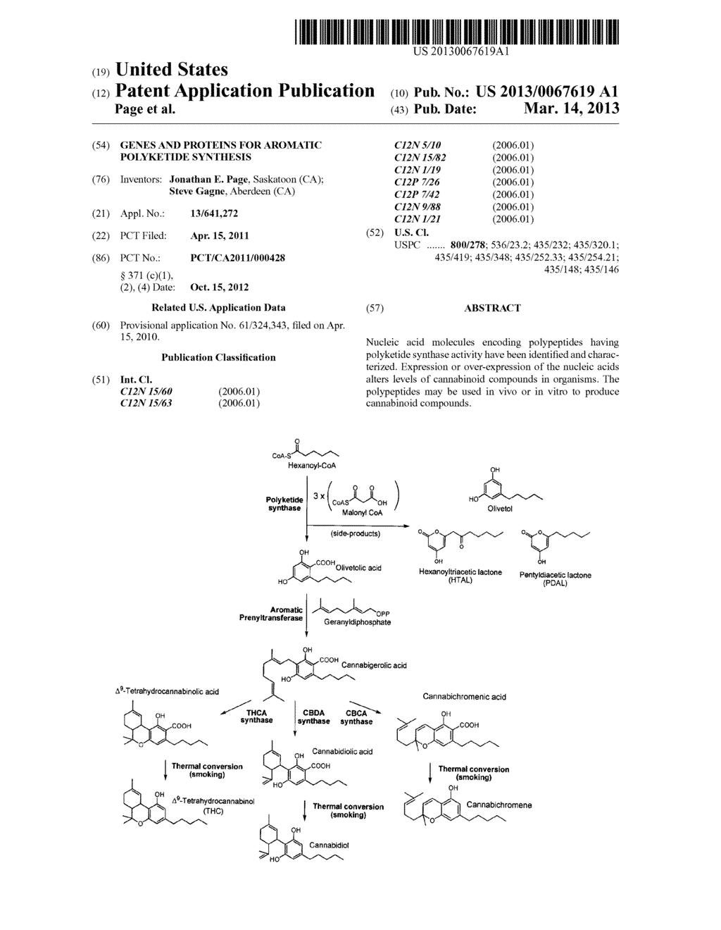 GENES AND PROTEINS FOR AROMATIC POLYKETIDE SYNTHESIS - diagram, schematic, and image 01