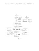 GENES AND PROTEINS FOR AROMATIC POLYKETIDE SYNTHESIS diagram and image