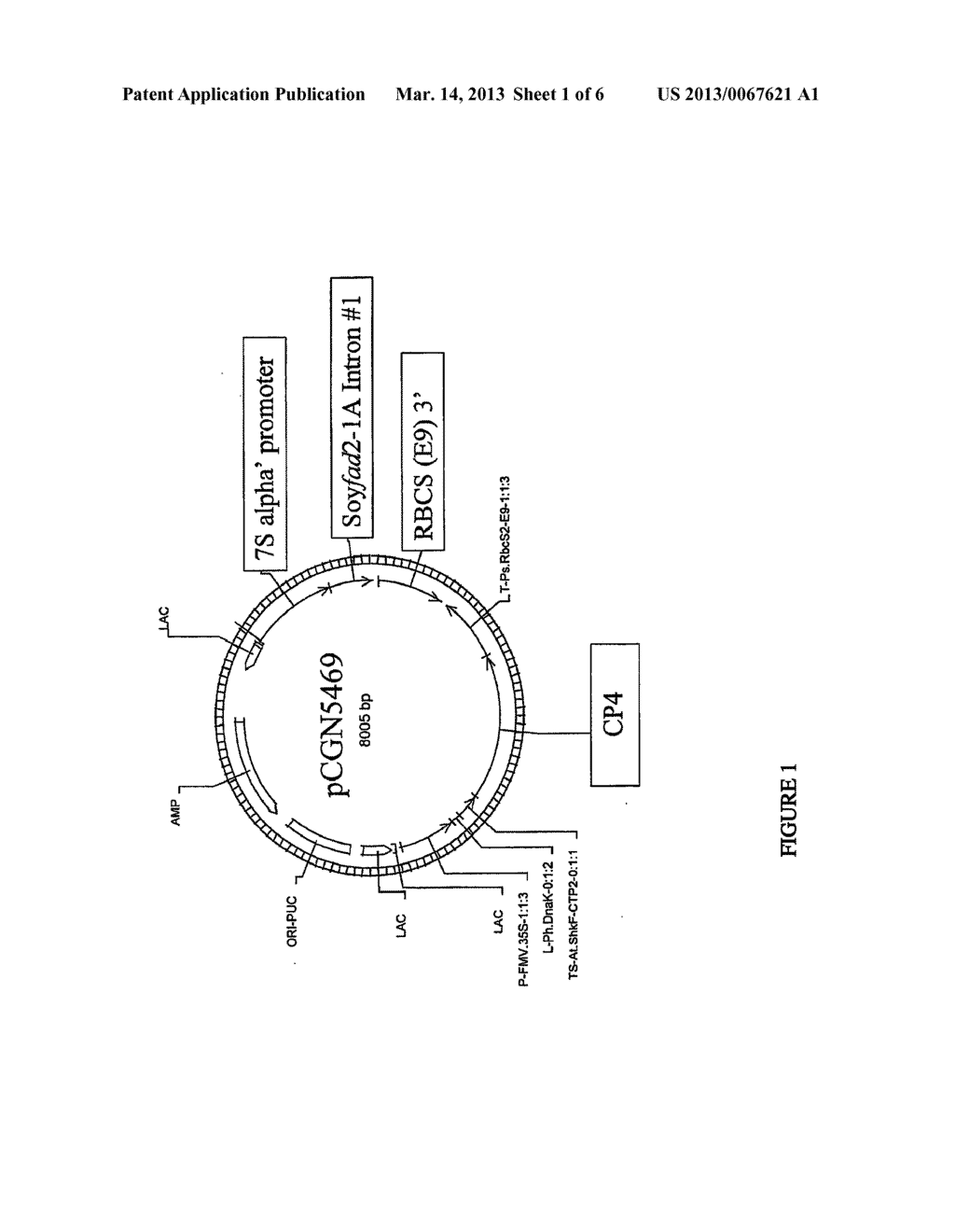 Soybean Seed and Oil Compositions And Methods Of Making Same - diagram, schematic, and image 02