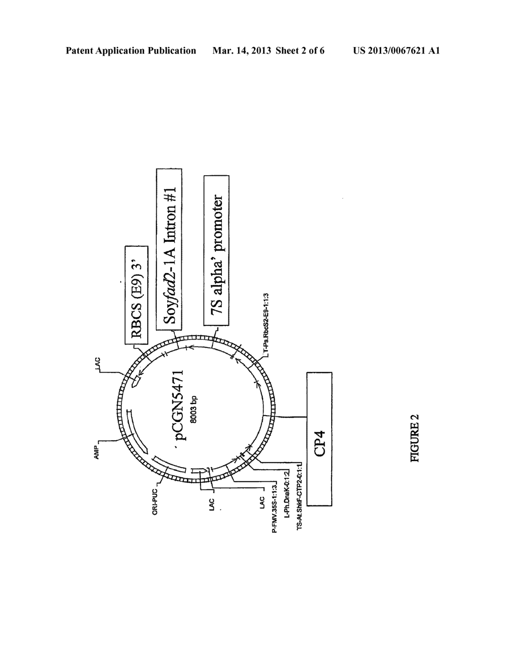 Soybean Seed and Oil Compositions And Methods Of Making Same - diagram, schematic, and image 03