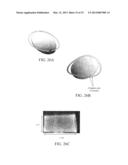 CURVED MULTIMORPH MICROACTUATORS THAT BEND AND/OR TWIST diagram and image