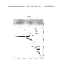 METHOD AND INSTRUMENTATION FOR COMPREHENSIVE MULTIDIMENSIONAL     CHROMATOGRAPHY SEPARATIONS USING A MICRO FLOW MODULATOR diagram and image