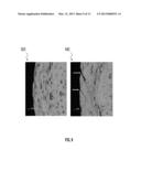 MULTI-ALLOY COMPOSITE SHEET FOR AUTOMOTIVE PANELS diagram and image