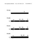 LIQUID EJECTION HEAD, LIQUID EJECTION APPARATUS AND ABNORMALITY DETECTION     METHOD FOR LIQUID EJECTION HEAD diagram and image