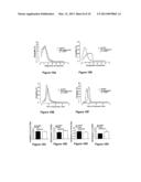 PARTICAL IMAGE VELOCIMETRY SUITABLE FOR X-RAY PROJECTION IMAGING diagram and image