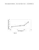 HIGH ENERGY DENSITY ELECTROCHEMICAL CAPACITORS diagram and image