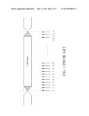 SAMPLING PHASE CALIBRATING METHOD, STORAGE SYSTEM UTILIZING THE SAMPLING     PHASE CALIBRATING METHOD diagram and image