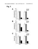 MONOCLONAL ANTIBODIES FOR TREATMENT OF CANCER diagram and image