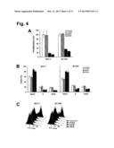 MONOCLONAL ANTIBODIES FOR TREATMENT OF CANCER diagram and image