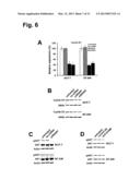 MONOCLONAL ANTIBODIES FOR TREATMENT OF CANCER diagram and image