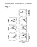 MONOCLONAL ANTIBODIES FOR TREATMENT OF CANCER diagram and image