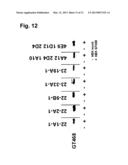 MONOCLONAL ANTIBODIES FOR TREATMENT OF CANCER diagram and image