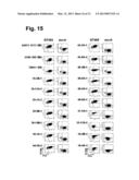 MONOCLONAL ANTIBODIES FOR TREATMENT OF CANCER diagram and image