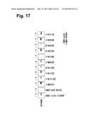 MONOCLONAL ANTIBODIES FOR TREATMENT OF CANCER diagram and image