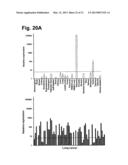 MONOCLONAL ANTIBODIES FOR TREATMENT OF CANCER diagram and image