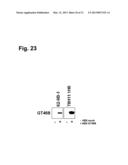 MONOCLONAL ANTIBODIES FOR TREATMENT OF CANCER diagram and image