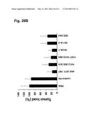 MONOCLONAL ANTIBODIES FOR TREATMENT OF CANCER diagram and image