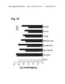 MONOCLONAL ANTIBODIES FOR TREATMENT OF CANCER diagram and image