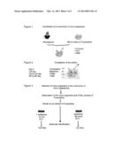 Treatment of Plants Against Oomycete Infection diagram and image