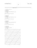 Amnion-derived cells, methods of making and uses thereof diagram and image