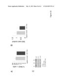 INHIBITORS OF MICRO-RNAS FOR USE FOR PREVENTING AND/OR ATTENUATING SKIN     AGEING AND/OR FOR HYDRATING SKIN diagram and image
