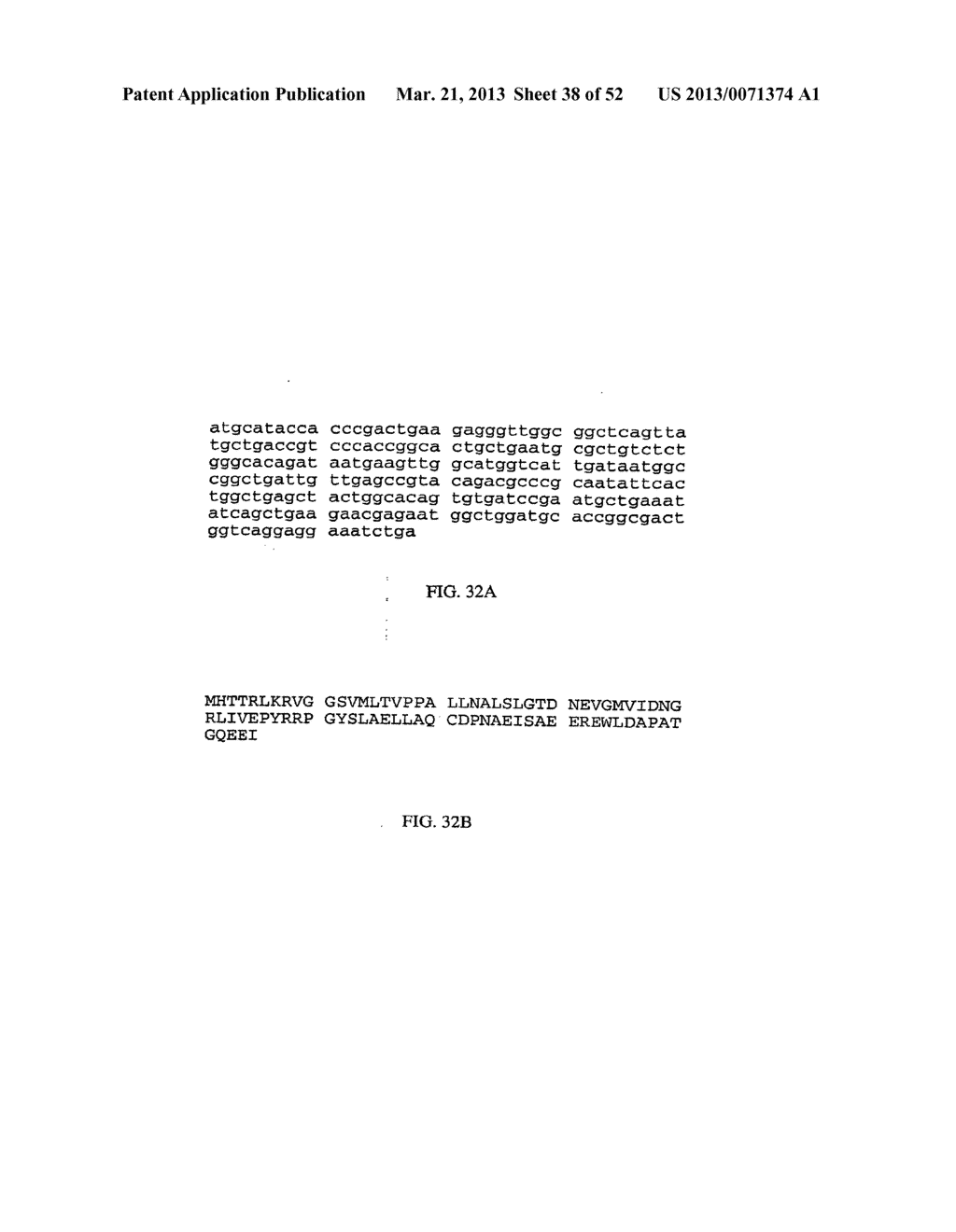 RNA Interferases and Methods of Use Thereof - diagram, schematic, and image 39