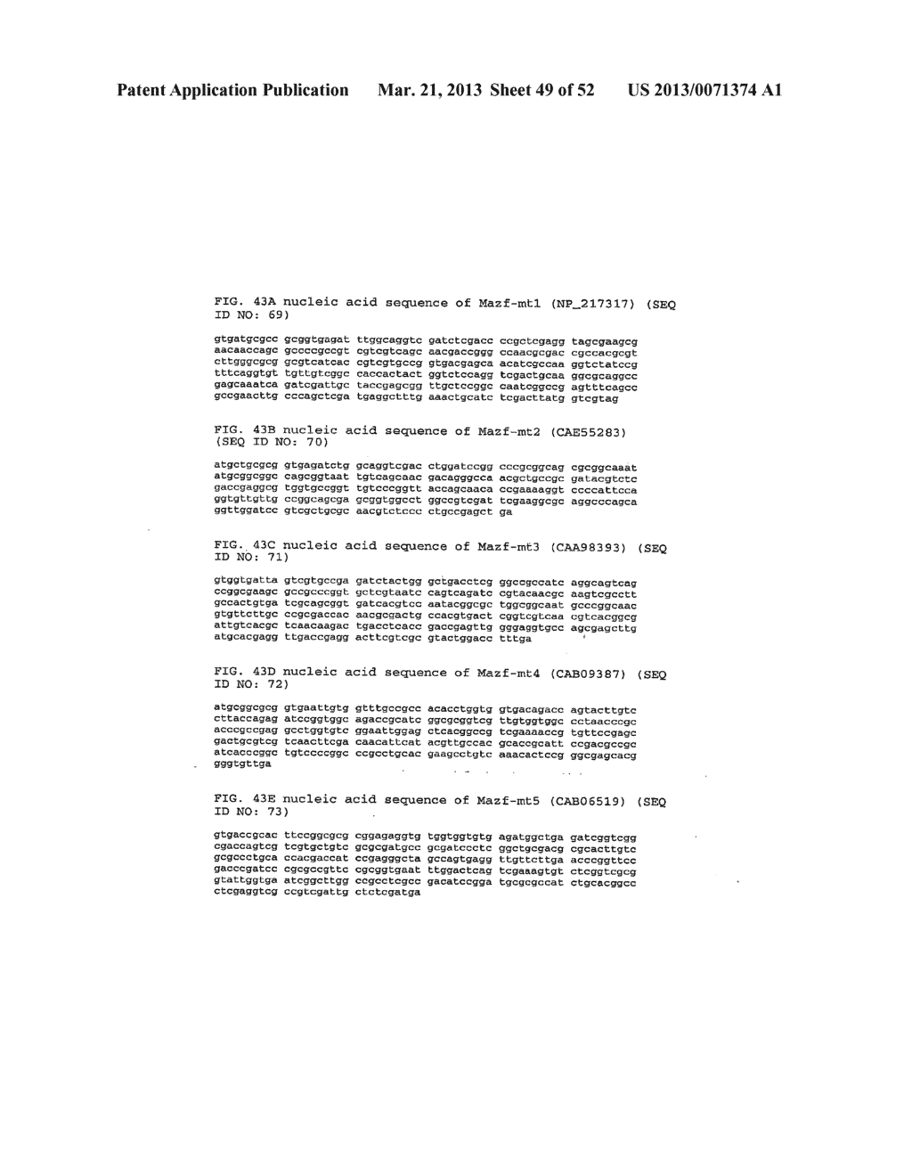 RNA Interferases and Methods of Use Thereof - diagram, schematic, and image 50