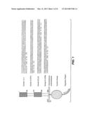 ANTIBODY FORMULATIONS diagram and image