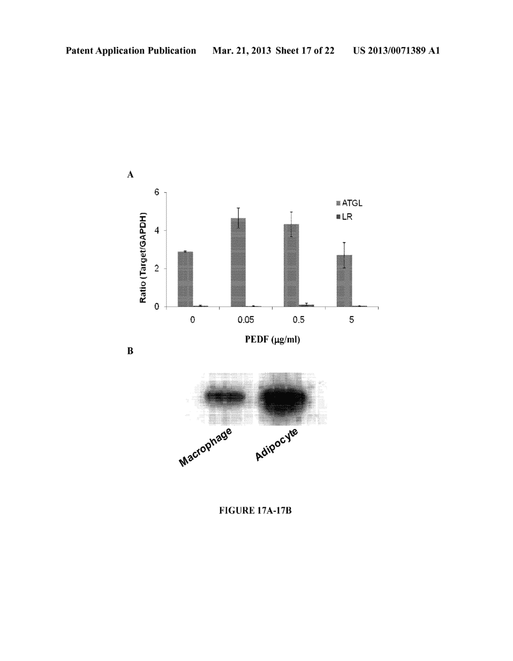 METHODS FOR TREATMENT OF INFLAMMATORY DISEASES - diagram, schematic, and image 18