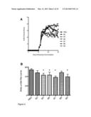 Small Heat Shock Proteins and Active Fragments Thereof as a Therapy for     Inflammation and Ischemia diagram and image