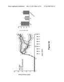 Small Heat Shock Proteins and Active Fragments Thereof as a Therapy for     Inflammation and Ischemia diagram and image