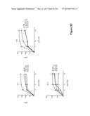 Small Heat Shock Proteins and Active Fragments Thereof as a Therapy for     Inflammation and Ischemia diagram and image