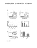 Small Heat Shock Proteins and Active Fragments Thereof as a Therapy for     Inflammation and Ischemia diagram and image